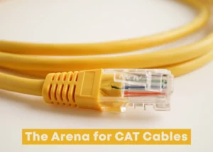 The Arena for CAT Cables