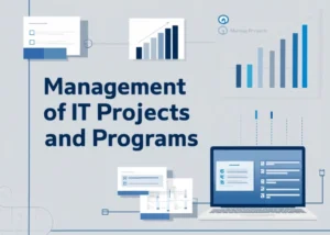 Management of IT projects and programs