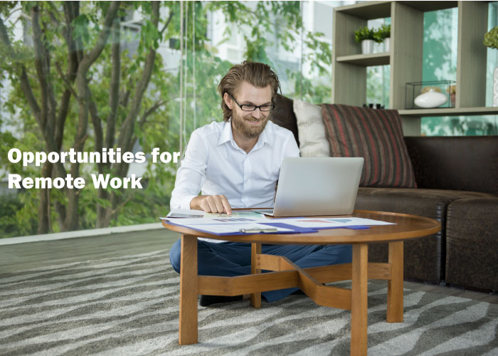 Opportunities for Remote Work:
