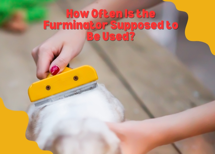 How Often Is the Furminator Supposed to Be Used? 