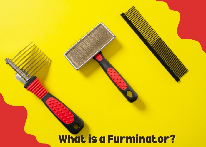 What is a Furminator?