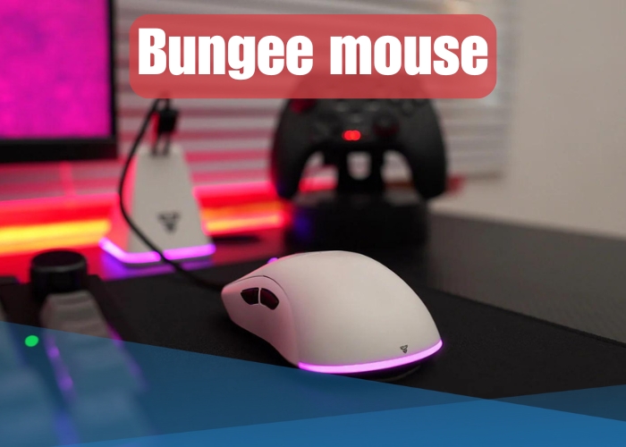 Bungee mouse