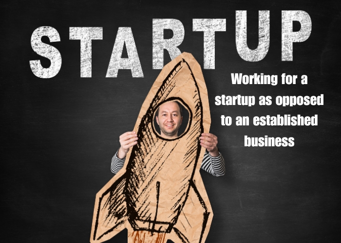 Working for a startup as opposed to an established business
